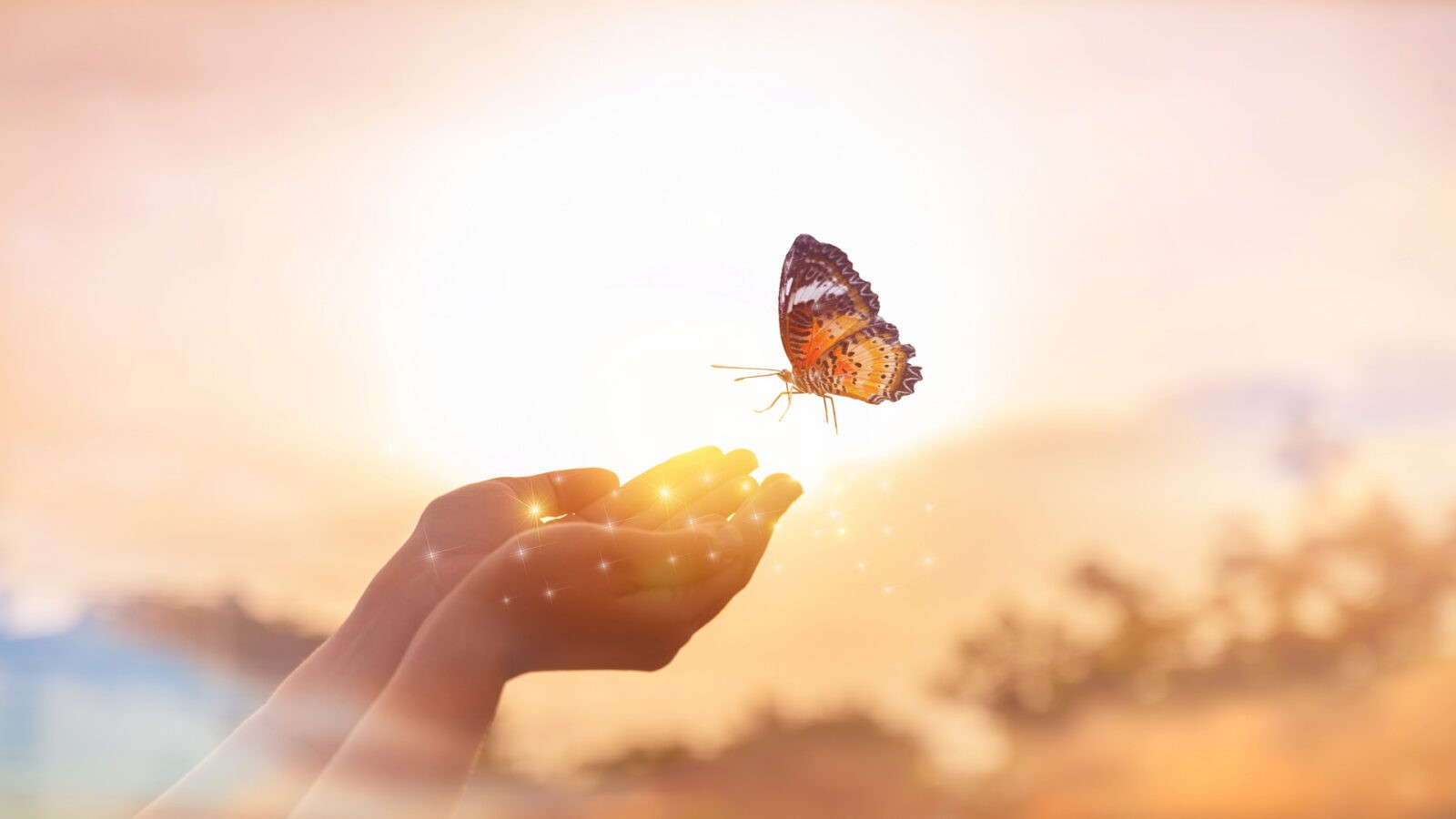 Politique de confidentialité